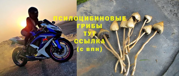 соль курить ск Липки