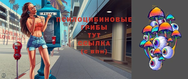 соль курить ск Липки