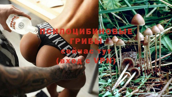 соль курить ск Липки